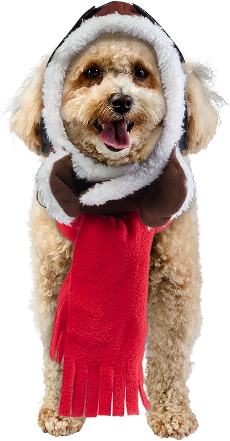 Rubies Aviator Pet Hat & Scarf Set for Dogs or Cats, S/M