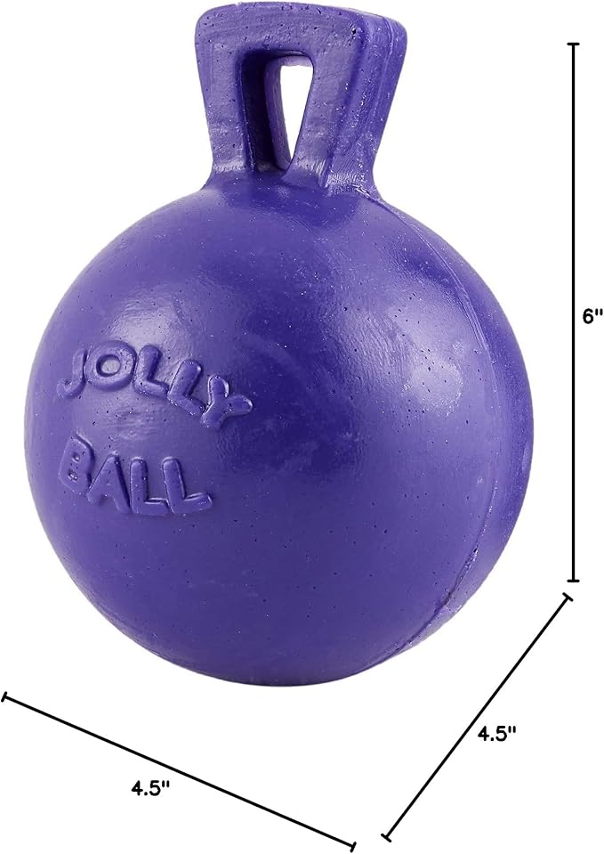 Tug-N-Toss Ball Color: Purple, Size: 6" H x 4.5" W x 4.5" D