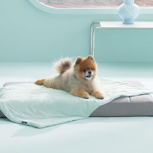 Bedsure Premium Cooling Blanket for Small Dog - Q-MAX>0.5, Breathable Summer Washable Cold Pet Throw Blanket, Soft Durable Self Cooling Cat Mat for Hot Weather, Turquoise Green, 25x35