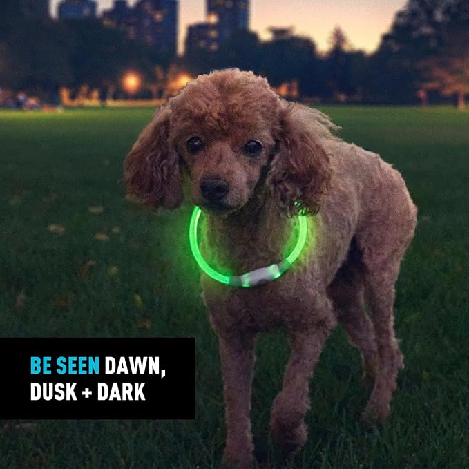 Nite Ize NiteHowl Rechargeable LED Safety Necklace - Dog Light for Dog-Walking Gear - Weather-Resistant Design - 5 Hours Runtime - Cut to Fit from 12” to 27” - Green