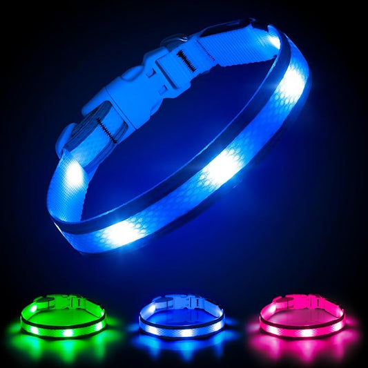 Illumifun LED Dog Collar, USB Rechargeable Light Up Dog Collar, Reflective Sfety Collar Light Glow in The Dark (Medium, Light Blue)