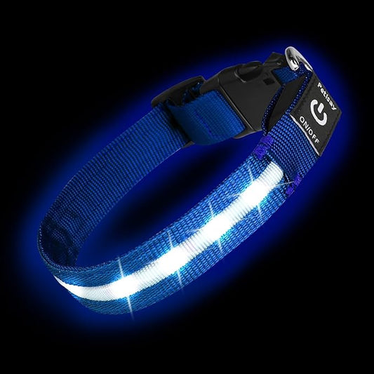 Super Bright LED Dog Collar - Fully Waterproof & Adjustable Glow Collar - USB-C Rechargeable for Night Walking, Safety - Flashing Lighted Collar for Dogs(Blue,Small)