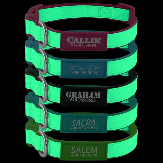 Personalized Dog Collars for Small & Large Dogs with Custom Name and Phone Numbers, Glow in The Dark Adjustable Glowing Luminous Collar(Fluorescent Glow)