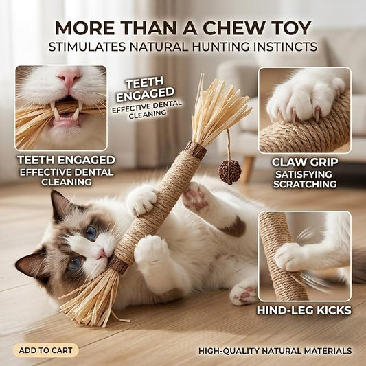 Cat Toys 3Pack Silvervine Chew Stick Kitten Treat Catnip Toy Kitty Natural Stuff Catnip Matatabi for Cleaning Teeth Indoor Dental Snack Interactive