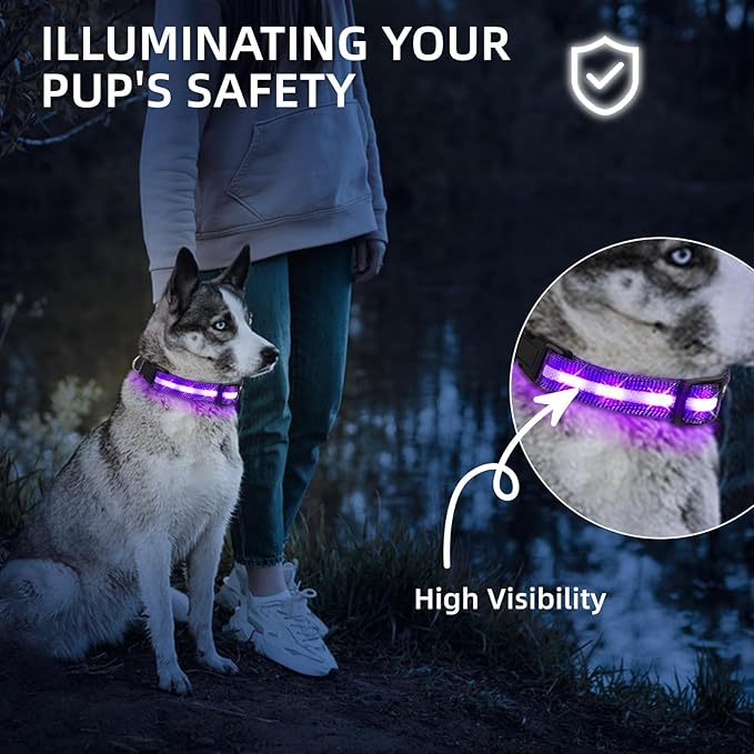 LED Dog Collar for Small Dogs Cats - Fully Waterproof & Adjustable Glow Collar - USB-C Rechargeable for Night Walking, Safety - Flashing Lighted Collar for Dogs(Purple,S)