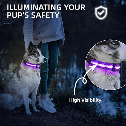 LED Dog Collar for Small Dogs Cats - Fully Waterproof & Adjustable Glow Collar - USB-C Rechargeable for Night Walking, Safety - Flashing Lighted Collar for Dogs(Purple,S)