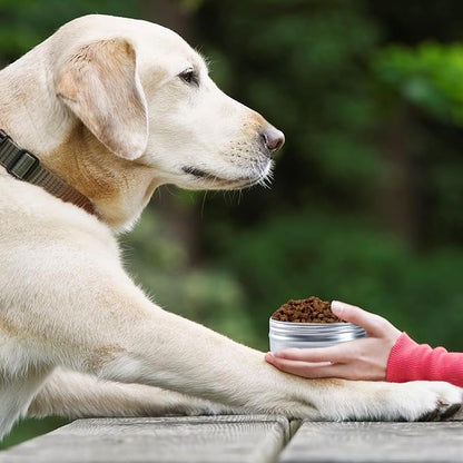 12 Pack Scent Training for Dogs Scent Dog Scent Work Tins Small Dog Food Container Nose Work Supplies for Scent Training, Aluminum Dog Scent Boxes