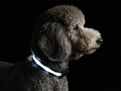 LED Dog Collar for Small Dogs Cats - Fully Waterproof & Adjustable Glow Collar - USB-C Rechargeable for Night Walking, Safety - Flashing Lighted Collar for Dogs(White,S)