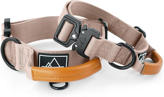 Made to ROAM Premium Explorer Control Collar - Adjustable Heavy Duty Nylon Dog Collar with Quick-Release Metal Buckle and Handle (Utah Glow, Control Size 4)