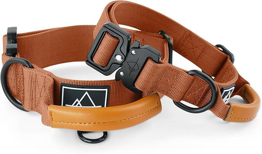Made to ROAM Premium Explorer Control Collar - Adjustable Heavy Duty Nylon Dog Collar with Quick-Release Metal Buckle and Handle (Nevada Evening, Control Size 4)