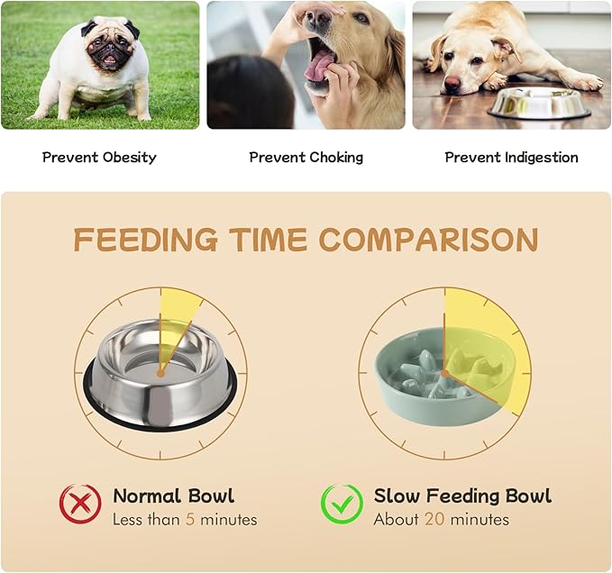 Ceramic 0.9 Cup Raised Slow Feeder Dog Bowl Set, Elevated 6.1inch Slow Dish and 6.1inch Water Bowl with Wooden Stand for Small Dogs (2 x Light Green+ Stand)