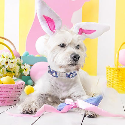 Easter Dog Collar, Cute Easter Bunny Eggs Pet Collar with Metal Buckel, Durable Adjustable Holiday Dog Collars for Small Medium Large Dogs M