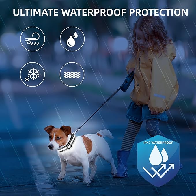 LED Dog Collar for Small Dogs Cats - Fully Waterproof & Adjustable Glow Collar - USB-C Rechargeable for Night Walking, Safety - Flashing Lighted Collar for Dogs(White,S)