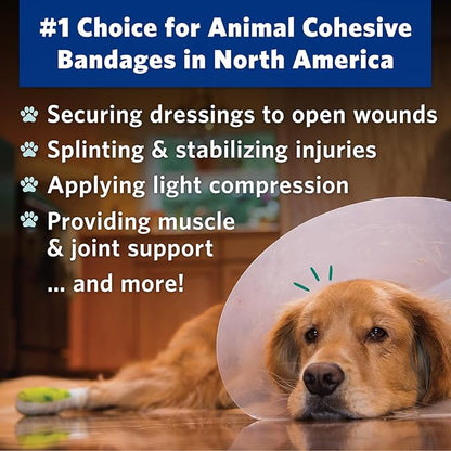 PetFlex No Chew – Flexible Self-Adhering Elastic Bandage for Wound Care – First Aid Wrap for Small Animals Like Dogs, Cats, and Other Pets - 3 inch, 2 Rolls