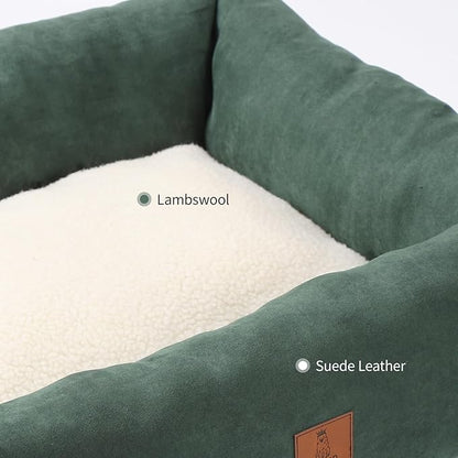 20In Dog Bed for Small Dogs & Cats - Washable Rectangle Cat Kitten Bed for Indoor Pets, Cozy Cute Puppy Bed with Non-Slip Bottom(Green, Small)