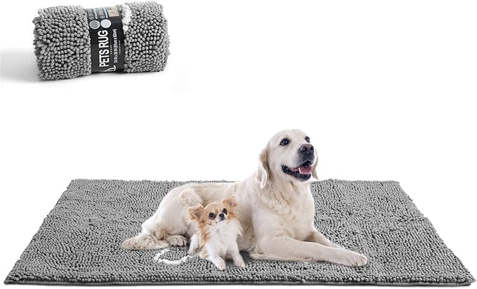 AROGAN Indoor Door Mat Entryway Rug Traps Mud and Water, Chenille Doormat for Muddy Shoes and Dog Paws, Machine Washable Doormat, Front Door Mat, Busy Area Dog Rugs for Floors, Entrance, 20x32 Grey
