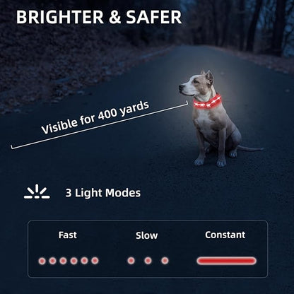 LED Dog Collar for Small Dogs Cats - Fully Waterproof & Adjustable Glow Collar - USB-C Rechargeable for Night Walking, Safety - Flashing Lighted Collar for Dogs(Red,S)