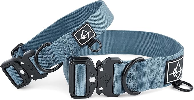 Made to ROAM Premium Dog Collar - Adjustable Heavy Duty Nylon Collar with Quick-Release Metal Buckle (California Horizon, Classic Size 5)