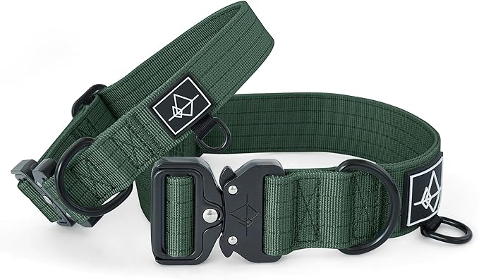 Made to ROAM Premium Dog Collar - Adjustable Heavy Duty Nylon Collar with Quick-Release Metal Buckle (Maine Marina, Classic Size 2)