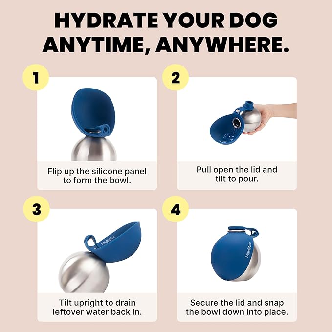 MalsiPree 2-in-1 Portable Dog Water Bottle and Travel Bowl for Small Dogs - Stainless Steel Dog Water Jug for Walking, Hiking, and Car Trips - Leak-Proof Dog Water Bottle Portable - 10oz Navy