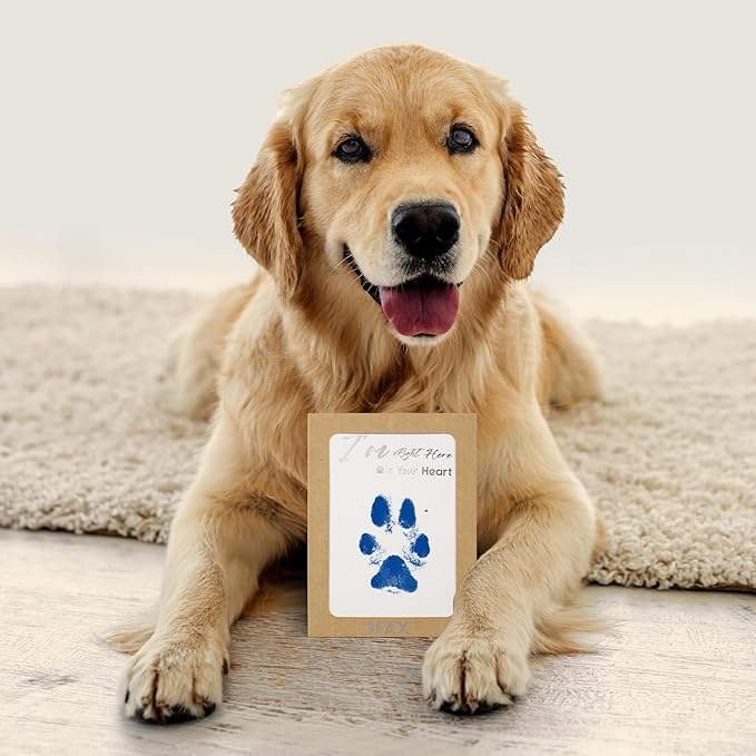 Inkless Paw Print Kit,Dog Paw Print Kit,Dog Nose Print Kit,Clean Touch Ink Pads and Imprint Cards,Pet Paw Print Impression Kit for Dogs Cats Footprint Keepsake