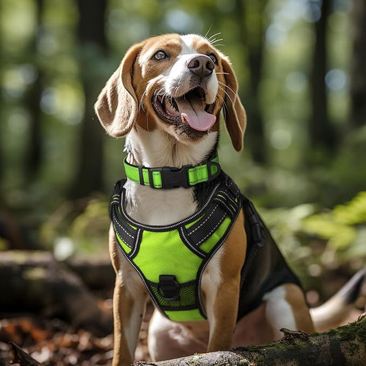 Joytale Reflective Dog Collar, Soft Neoprene Padded, Metal D-Ring, Nylon Pet Collar Adjustable for Extra Large Dogs, Green, XL