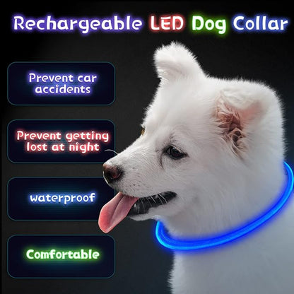 Weewooday 3 Pcs Dog Collar USB Rechargeable LED Light up Dog Collar Flash Waterproof Pet Necklace Pet Lights for Night Walking Adjustable Safety Necklace for Large Medium Small Puppy(3 Natural Colors)