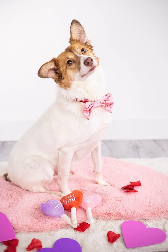 Pearhead Valentine’s Day Plush Squeaky Dog Toys – Candy Popsicle Dog Toy Set, Soft Chew Interactive Toys for Dogs, Set of 3