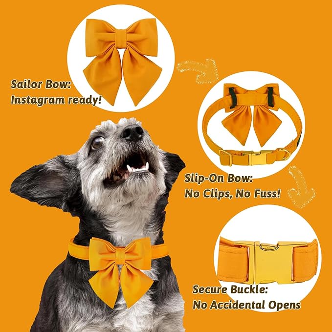 Maca Bates Mango Yellow Dog Collar with Cute Solid Sailor Bow Tie for Small Girl Boy Dogs,Adjustbale Durable Breakaway Soft Collars with Bowtie for Female Male Puppy,Pet with Metal Buckle