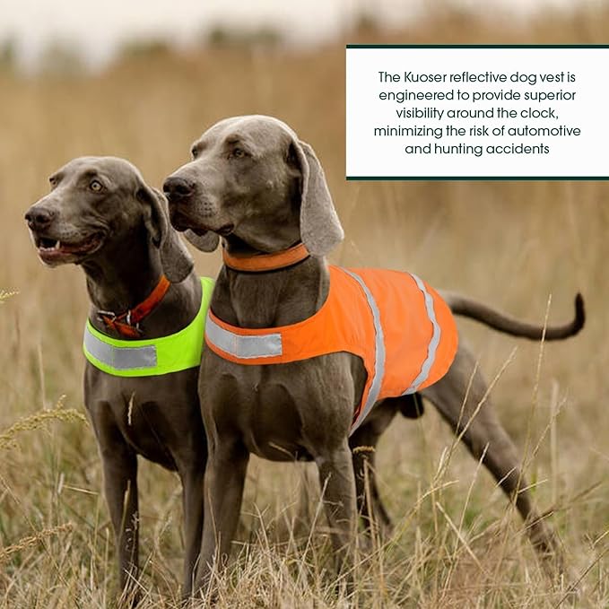 Kuoser Reflective Dog Vest, High Visibility Safety Vest for Medium to Large Dogs, Lightweight Pet Reflective Vests for Hunting Outdoor Activities Walking at Night, Blaze Orange 2XL