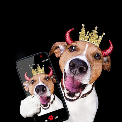 PET SHOW 2pcs Medium Dog Crown Headband Puppies Cat Hat for Birthday Party Silver Gold Rhinestone Faux Pearl Crown for Pets Wedding Hair Accessories Photo Prop Costume