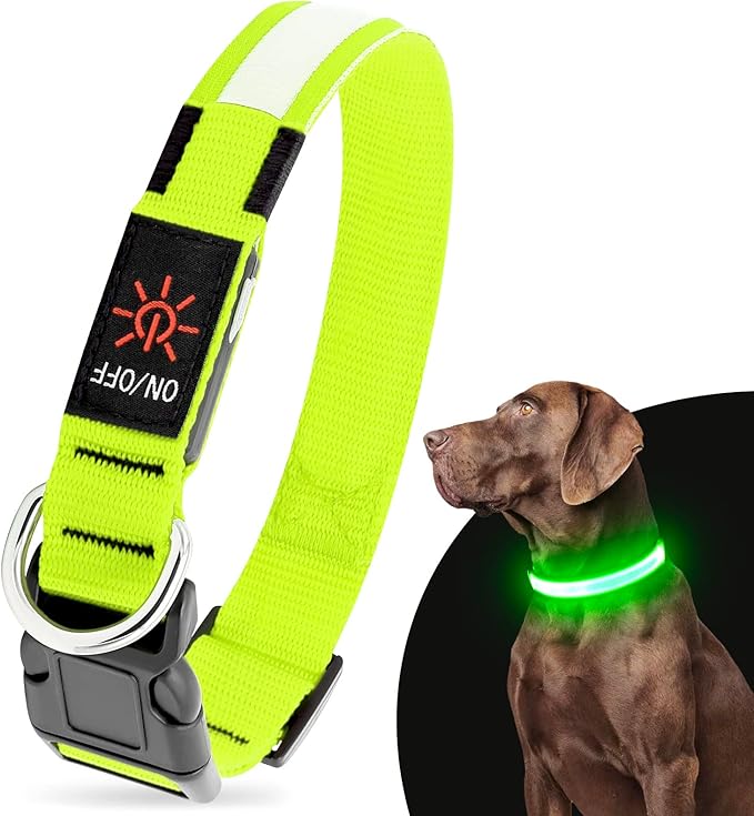 LED Dog Collar, USB Rechargeable Light Up Dog Collars, Adjustable Glow Collars for Dogs, Reusable Safety Dog Collar for Small, Medium, Large Dogs (Green, Small)