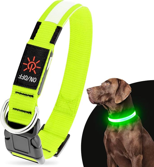 LED Dog Collar, USB Rechargeable Light Up Dog Collars, Adjustable Glow Collars for Dogs, Reusable Safety Dog Collar for Small, Medium, Large Dogs (Green, Small)