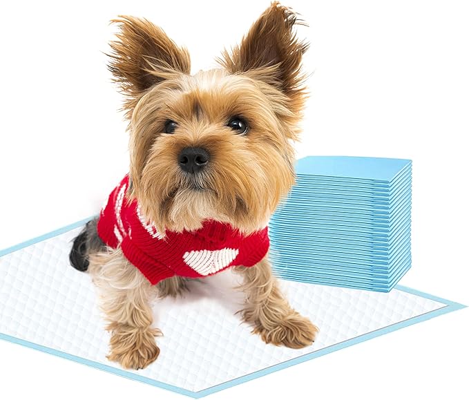 Dog Training Pads, Leak-Proof 6-Layer Puppy Potty Pads with Quick-Dry Surface - Small Size 13x18 Inch