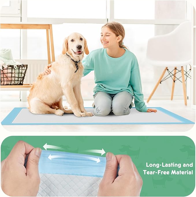 DUMOS 150 Count 22" x 22" Super Absorbency Disposable Underpads, Leakproof Quick Drying Disposable Pads for Dogs, Puppy, Cat Pee Pads, Potty Puppy Training Pad