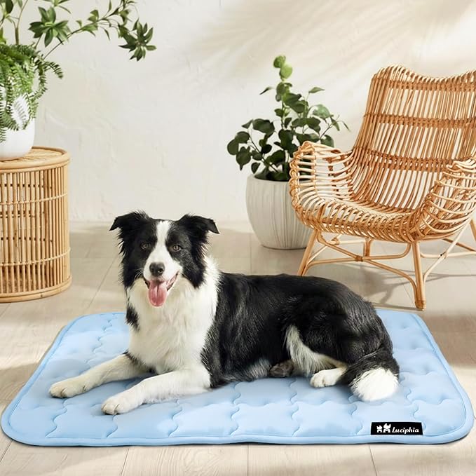 Luciphia Premium Dog Cooling Mat Non-Slip Q-MAX>0.5 Self-Cooling Pad for Small Pet Cat Indoor Portable Kennel Puppy Bed for Summer Crate Pad for Dog Washable Light Blue 20x30 inches