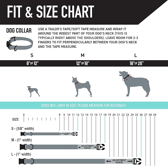 Wolfgang Heavy Duty, Adjustable Dog Collar with Quick Release Nylon Buckle for Walking & Training, Mixtape Print, Medium
