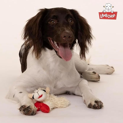Multipet Lamb Chop Dog Plush Toy - Squeaky Toy for All Dogs - Extra Soft Plush - Stuffed Animal Dog Toy for Cuddling & Playing - Cute Pet Toy (6", Cream)