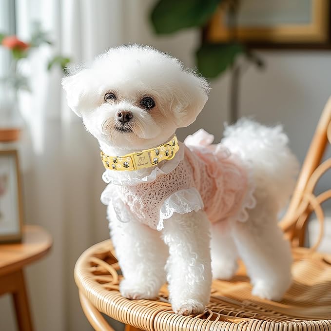Yellow Bee Dog Collar, Cute Spring/Summer Cartoon Boy Girl Dog Collars, Adjustable Heavy Duty Male Female Dogs Collar for Small Medium Large Dogs with Metal Buckle XS