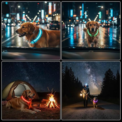 Rechargeable Reflective Pet Gear LED Dog Collar Light Up, Flashing Glowing Illuminated Collar for Night Walking, Neon Pet Collar with Light for Small/Medium/Large Dogs (Purple, 1-Pack)