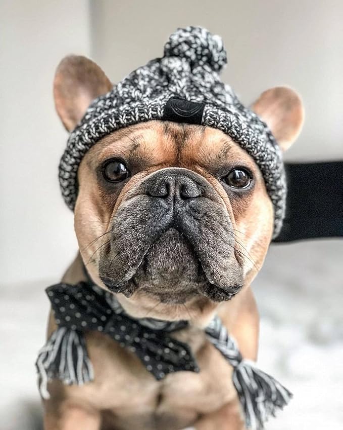 Dog Kintted Hat,Winter Warm Woolen Cap for Small Medium Large Dogs,Puppy Pom Pom Hat Headwear Costume Accessory (Grey L)