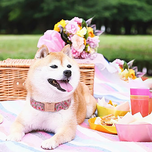 Sweet Strawberry Dog Collar, Cute Pink Summer Pet Collar with Metal Buckel, Durable Adjustable Designer Dog Collars for Small Medium Large Dogs L
