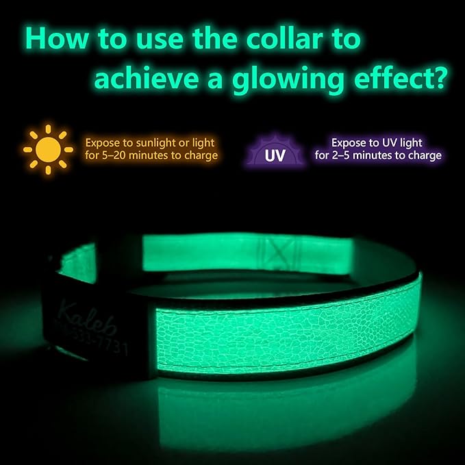 Personalized Dog Collars for Small & Large Dogs with Custom Name and Phone Numbers, Glow in The Dark Adjustable Glowing Luminous Collar(Fluorescent Glow)
