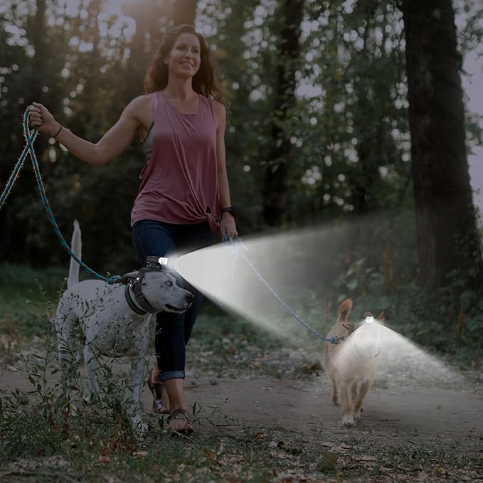 Dog Head Lights for Small and Medium Sized Dogs, 3 Light Modes Dog Collar Light, USB Rechargeable Waterproof Pet Walking Accessories, for Dog Lights for Night Walking Camping