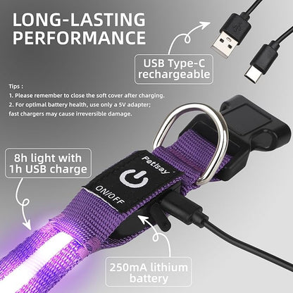 LED Dog Collar for Small Dogs Cats - Fully Waterproof & Adjustable Glow Collar - USB-C Rechargeable for Night Walking, Safety - Flashing Lighted Collar for Dogs(Purple,S)