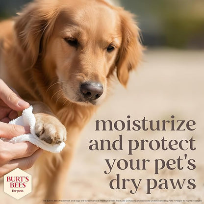 BURT'S BEES FOR PETS Paw Balm for Dogs with Manuka Honey and Coconut Oil, Soothes Dry Dog Paws, Naturally Derived Ingredients, 1.76 Oz