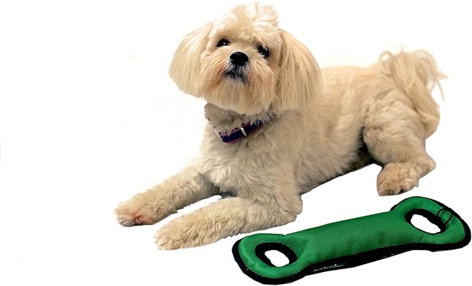 Pets First NFL Washington Commanders Football Field Dog Toy with Double Rim Stitching & Inner Squeaker, Team Color (WAC-3030)