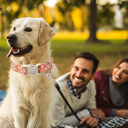 ARING PET Spring Summer Dog Collar, Cute Daisy Wildflower Floral Blossom Pet Collars for Small Medium Large Girl Dogs-M Size