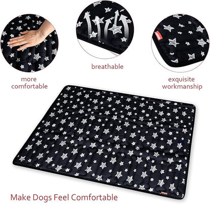 PetSafe 36" x 23" Soft Dog Bed Mat, Cute Prints, Personalized, Anti-Slip, Machine Washable Kennel Pad