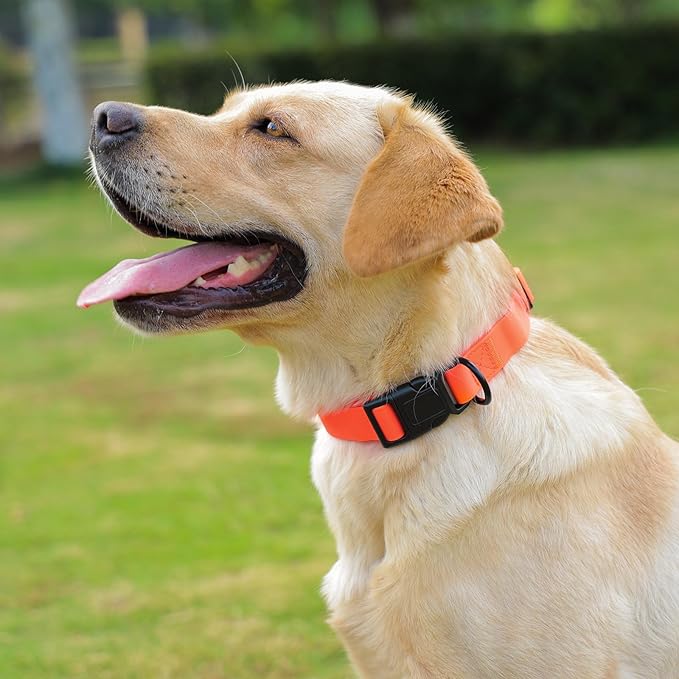 Waterproof Dog Collar, Easy to Clean Rubber Dog Collars with Quick Release Buckle Fits Small Medium or Large Dogs (Orange, L < 15.4-24.8 inch)